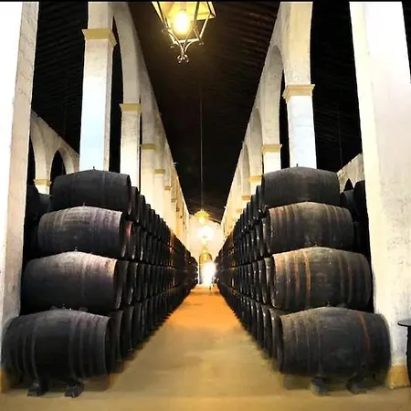 Casa En Jerez Con Patio Cerca De La Playa Y De La Sierra
