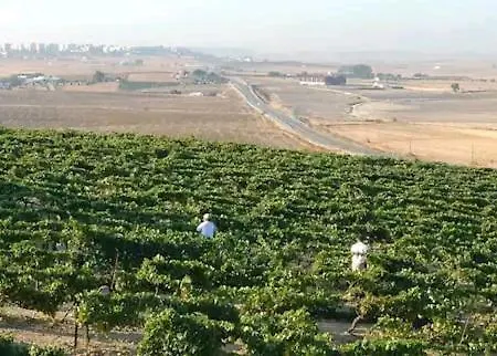 Holiday home Casa En Jerez Con Patio Cerca De La Playa Y De La Sierra Jerez de la Frontera