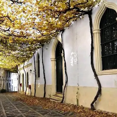 Casa En Jerez Con Patio Cerca De La Playa Y De La Sierra